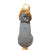 Air Force Wings Dog Hoodie