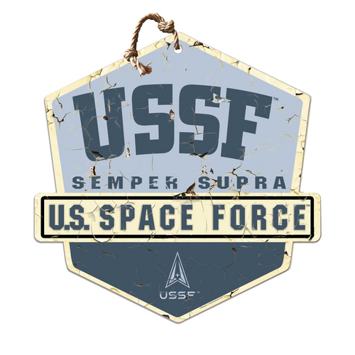 United States Space Force Metal Badge